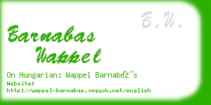 barnabas wappel business card